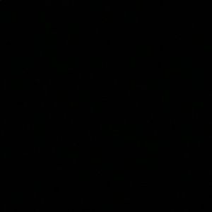 Meet your Posher, Julian